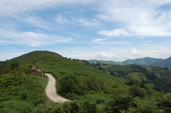 Road in the mountain